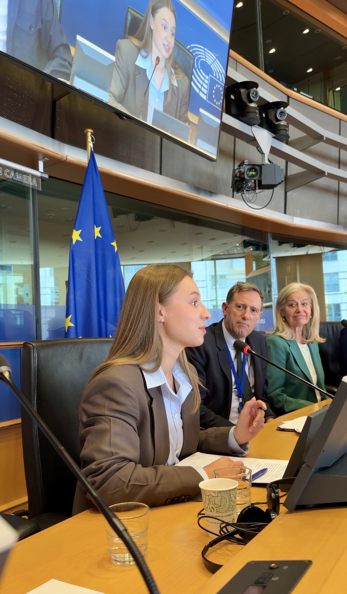 European Parliament